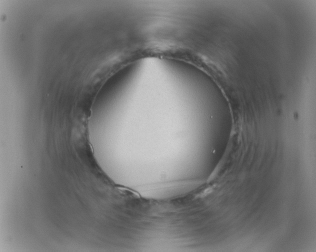 X0000065971349200603172040