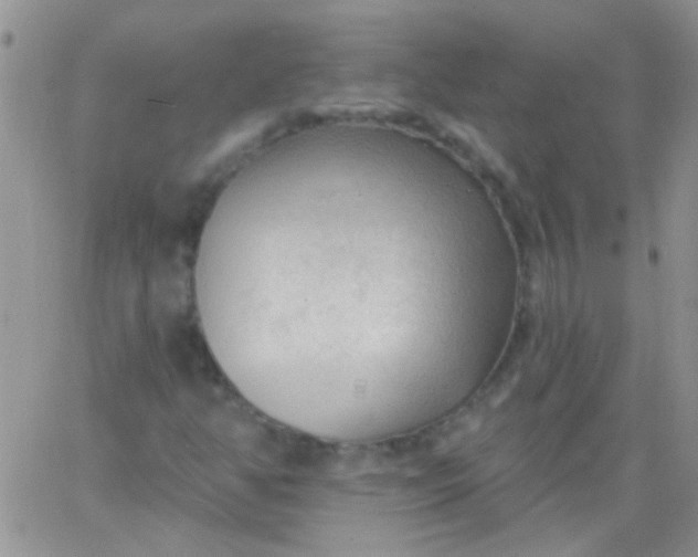 X0000065971350200603172040