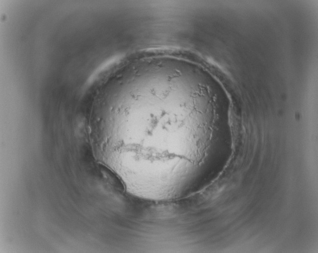 X0000065971351200603172040