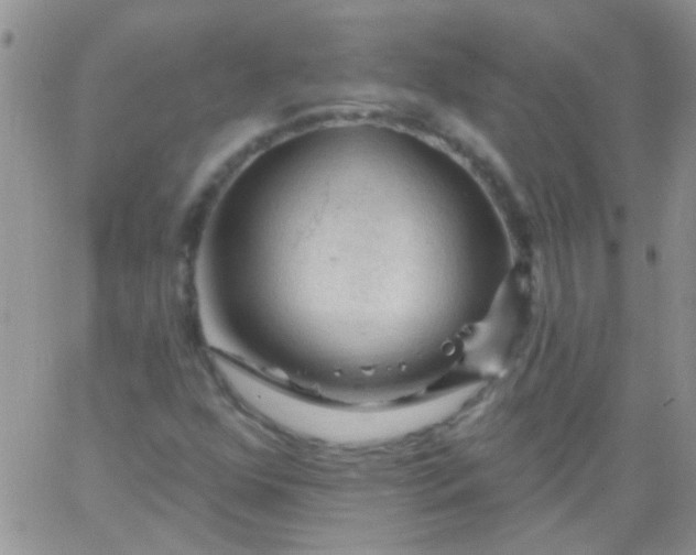 X0000065971352200603172040