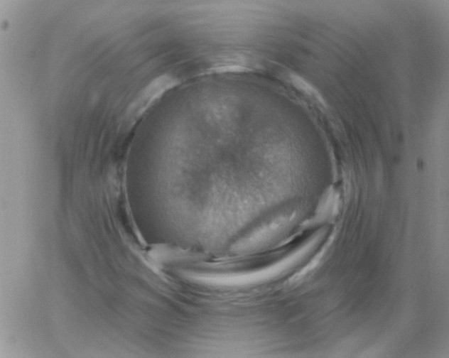 X0000065971353200603172040