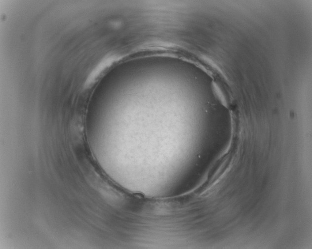 X0000065971355200603172040