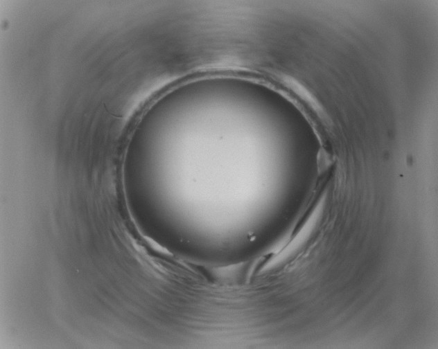 X0000065971356200603172040