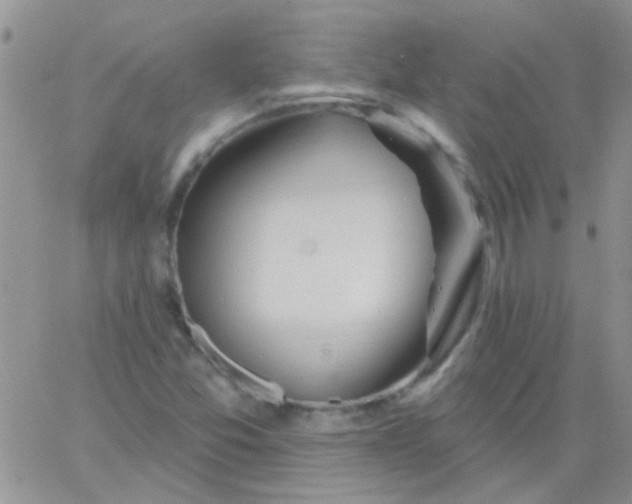 X0000065971357200603172040