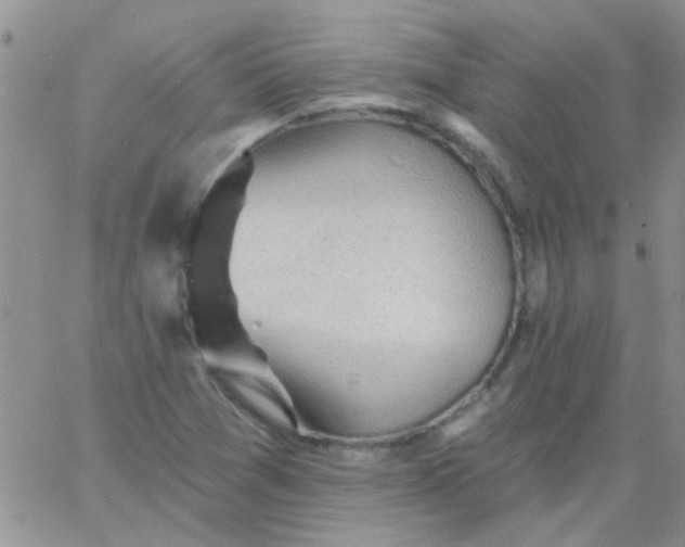 X0000065971361200603172039