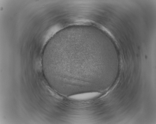 X0000065971362200603172039