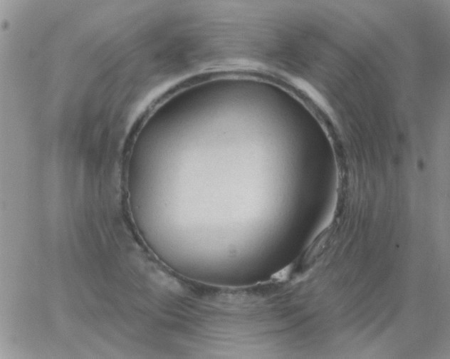 X0000065971364200603172039