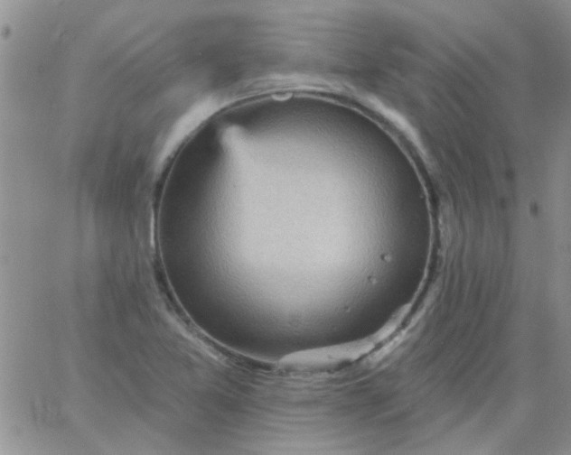 X0000065971365200603172039