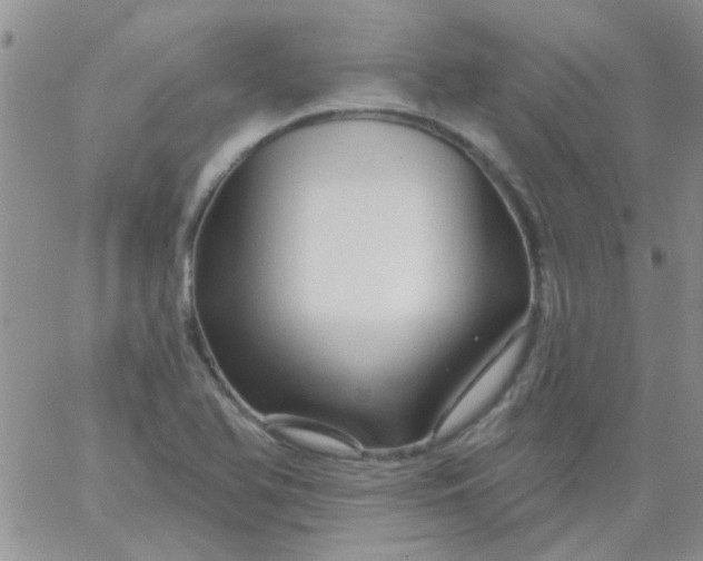 X0000065971366200603172039