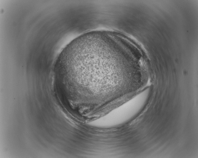 X0000065971367200603172039