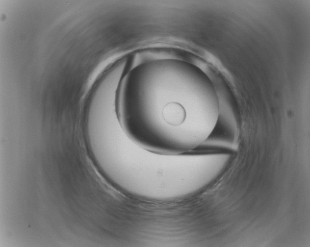 X0000065971368200603172039