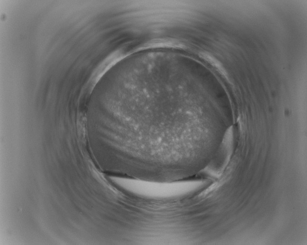 X0000065971369200603172039