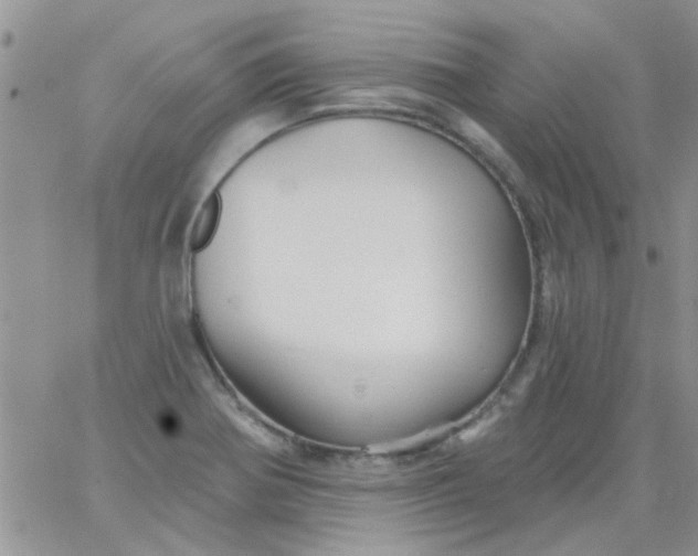 X0000065971370200603172039