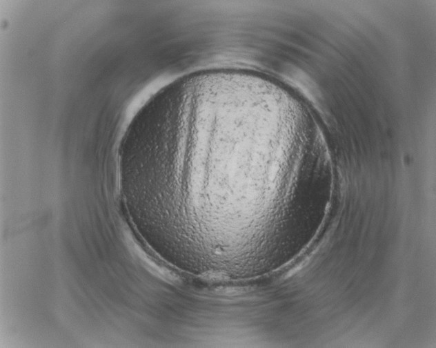 X0000065971371200603172039