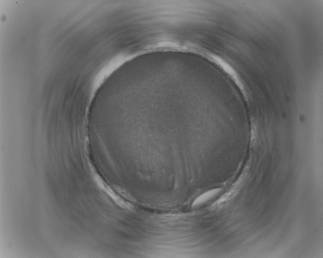 X0000065971373200603172039