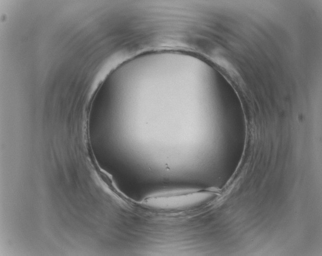 X0000065971374200603172039