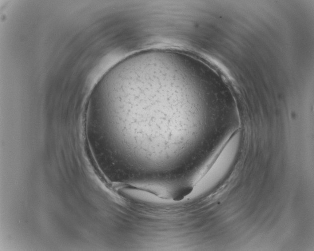 X0000065971375200603172039