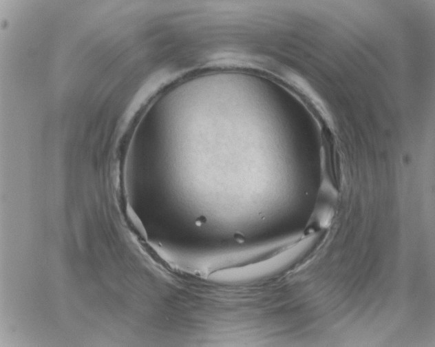 X0000065971376200603172039