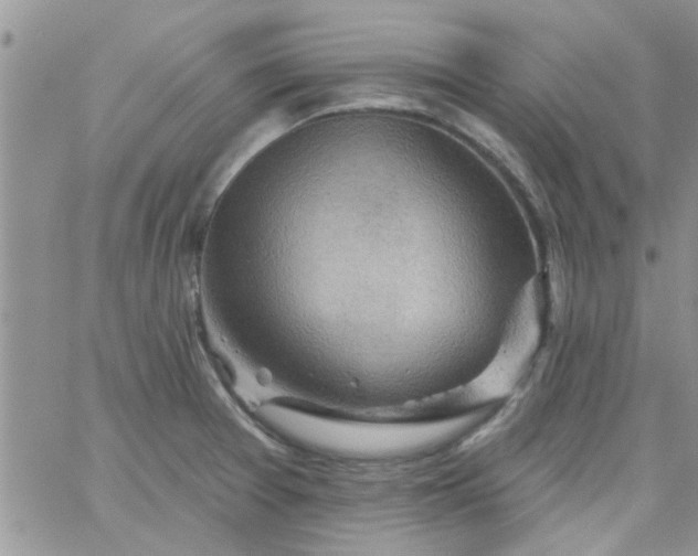 X0000065971377200603172039