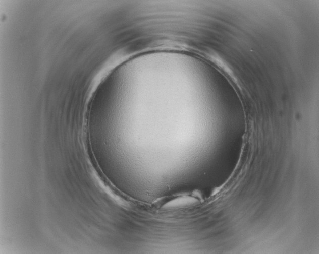 X0000065971379200603172039