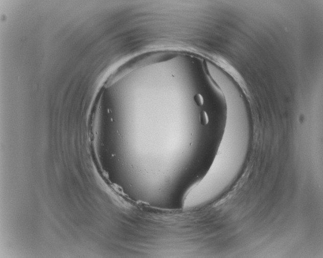 X0000065971380200603172039