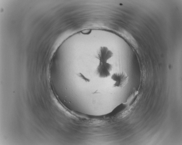 X0000065971382200603172039