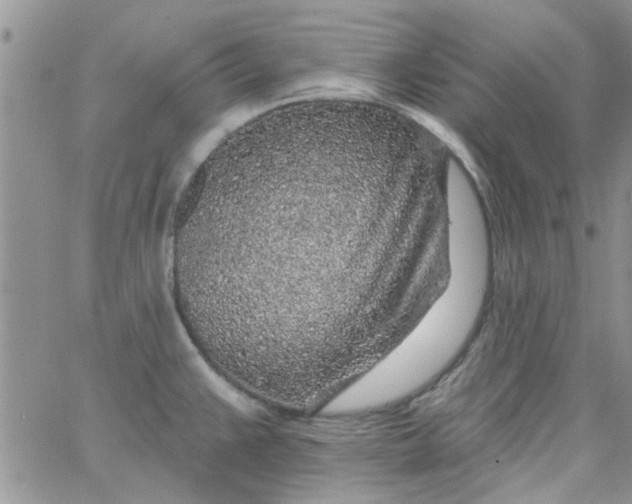 X0000065971383200603172039