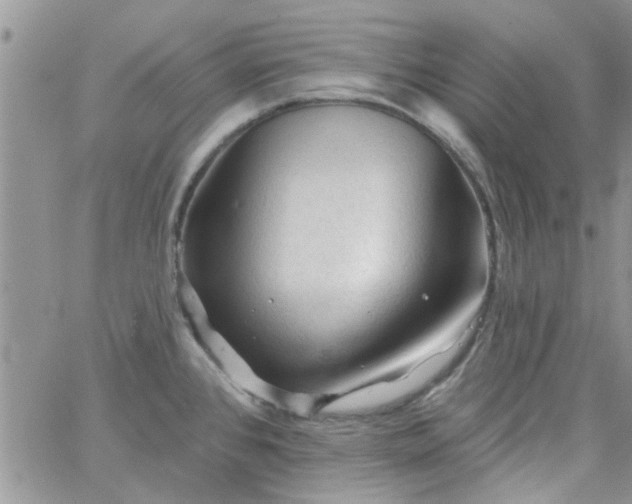 X0000065971384200603172039