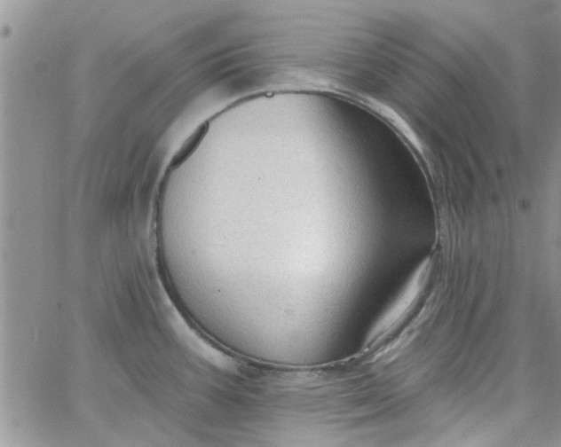 X0000065971387200603172039