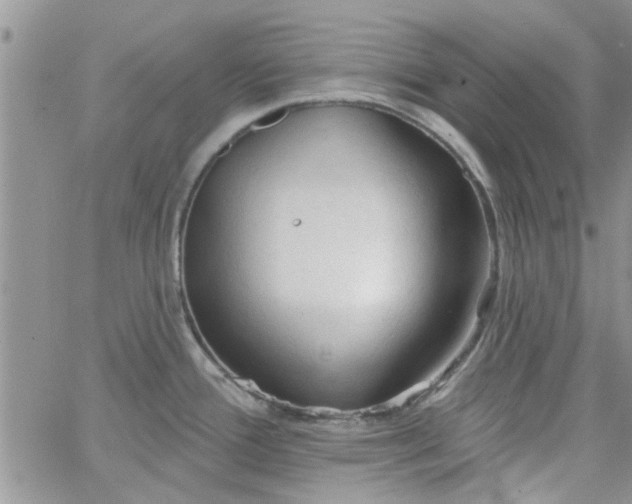 X0000065971388200603172039