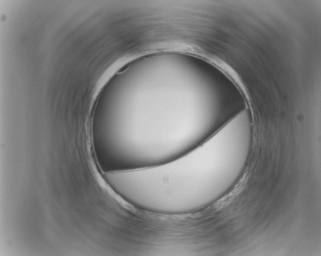 X0000065971389200603172039