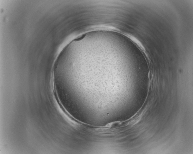 X0000065971391200603172039