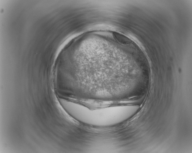 X0000065971392200603172039