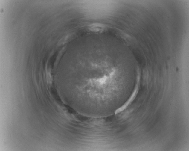 X0000065971394200603172038