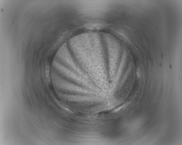 X0000065971396200603172038