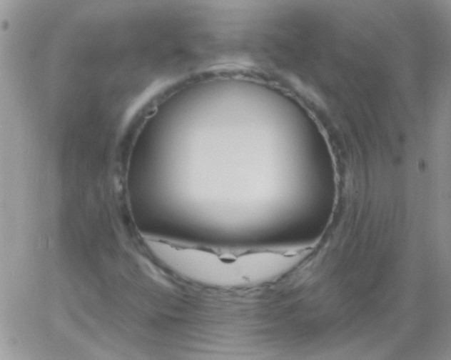 X0000065971400200603172038