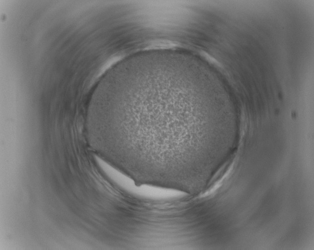 X0000065971401200603172038