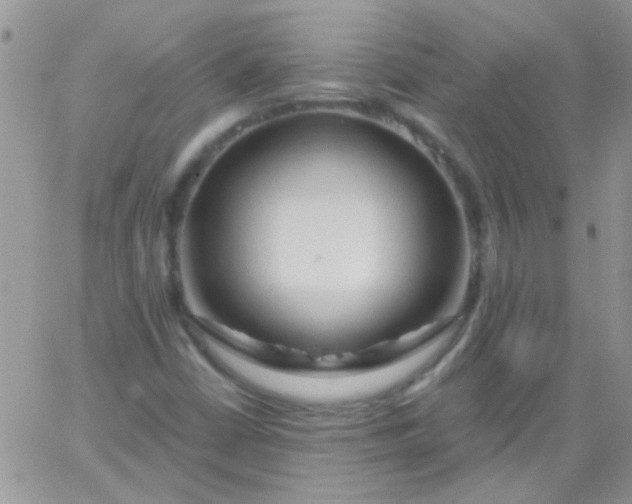 X0000065971402200603172038