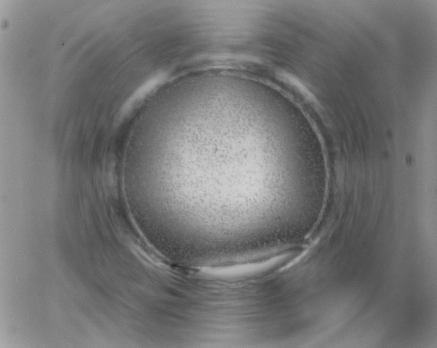 X0000065971403200603172038