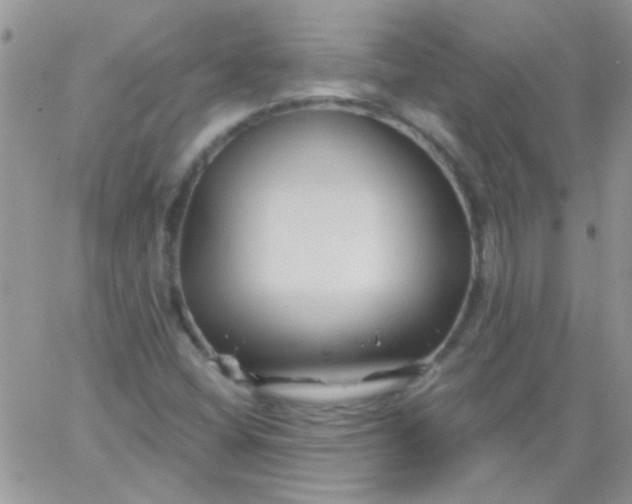 X0000065971404200603172038