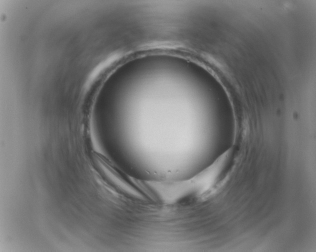 X0000065971406200603172038