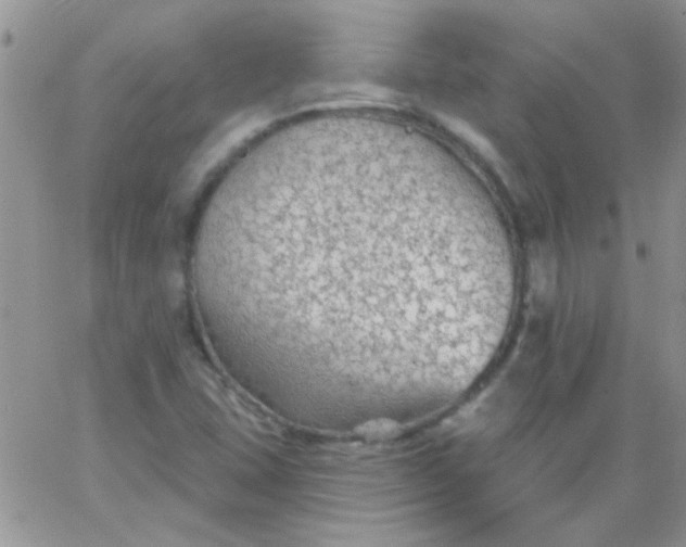 X0000065971407200603172038