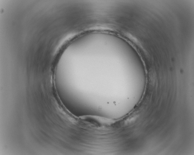 X0000065971408200603172038