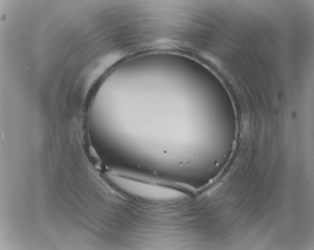 X0000065971410200603172038