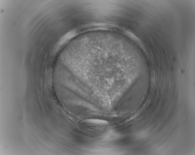 X0000065971411200603172038