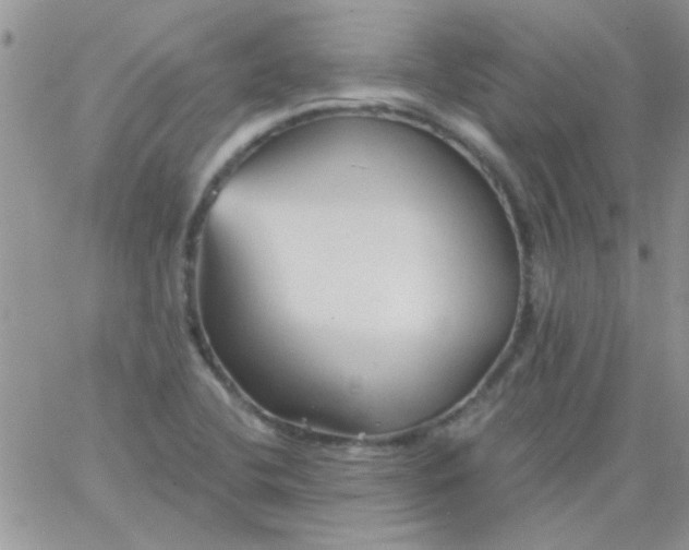 X0000065971412200603172039