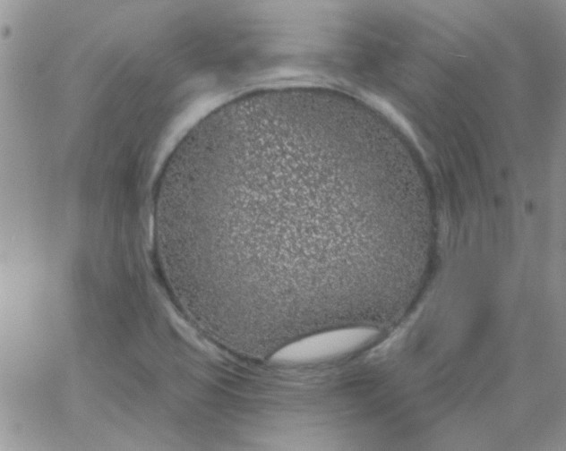 X0000065971413200603172039