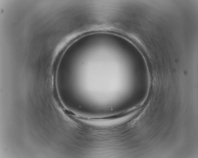 X0000065971414200603172039