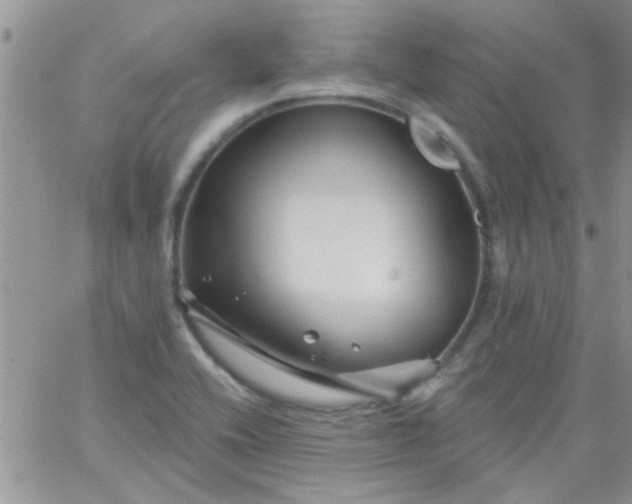 X0000065971416200603172039