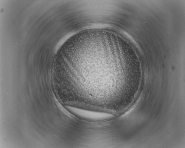 X0000065971417200603172039